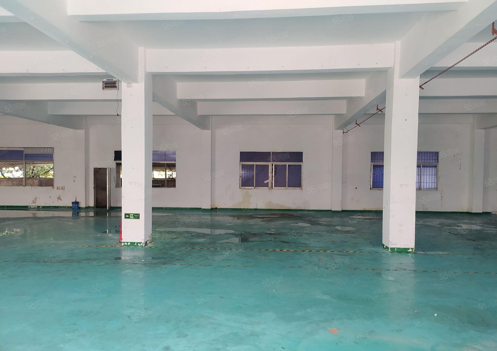 惠州惠阳新圩独门独院厂房出租5000平大小分租带装修好进车
