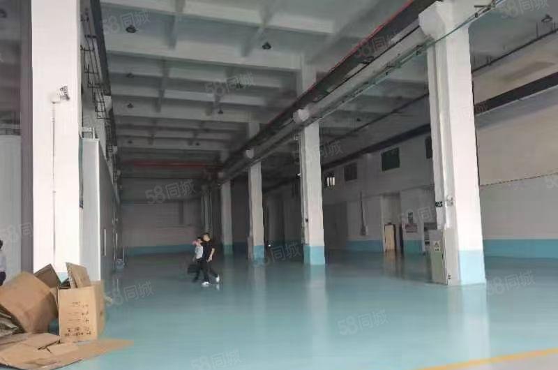 仲恺陈江新出原房东2层独栋厂房7180平一楼11米带现成行车