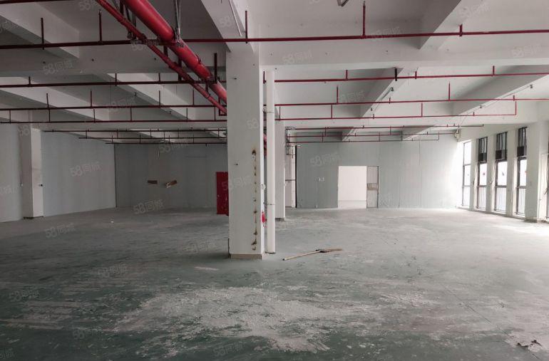 惠阳秋长新空出标准钢构厂房总面积5920平米低价招租