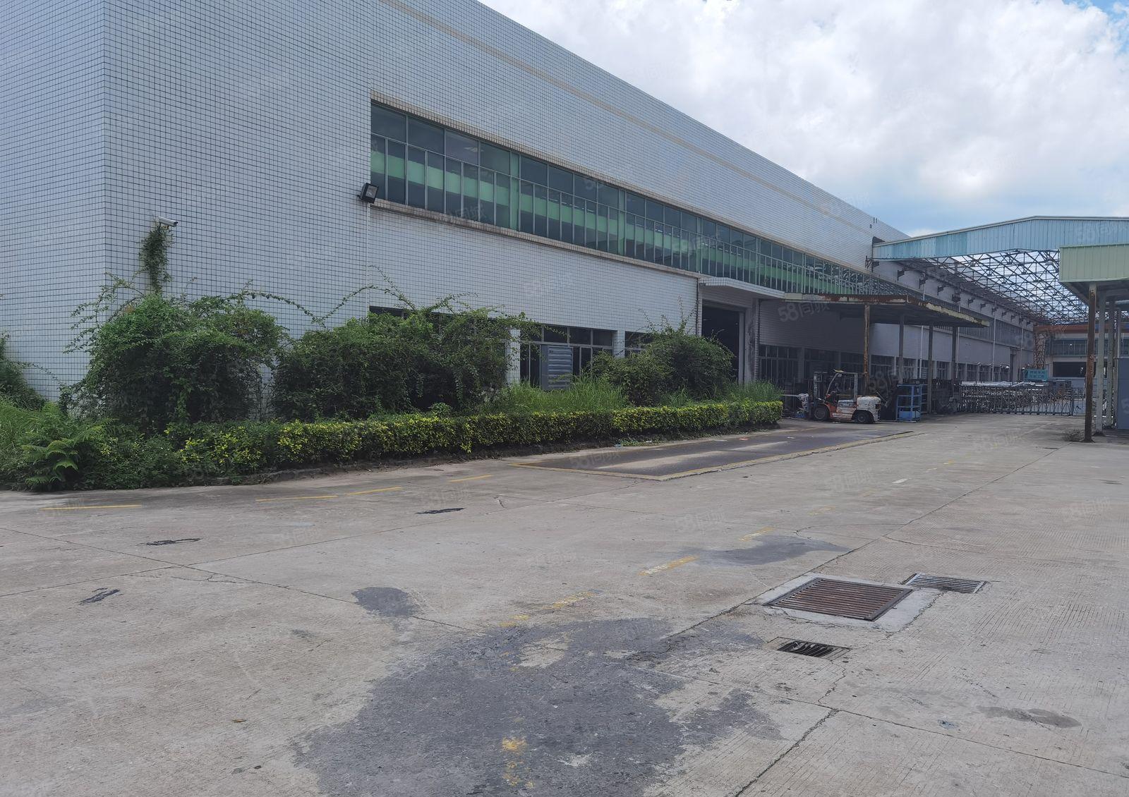 惠阳新圩独院5000平米钢构厂房仓库出租红本原房东可办环评