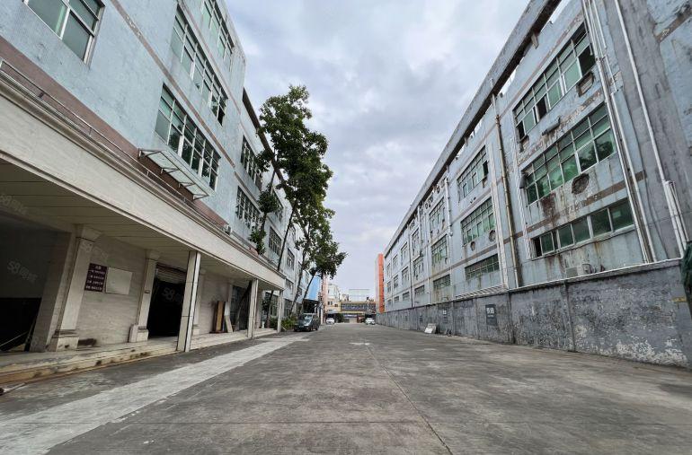 12元租惠阳秋长岭湖原房东独门独院厂房12000平方低价出租