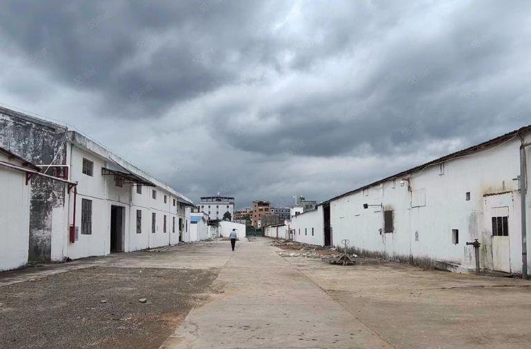 惠阳沙田高速出口附近20000平钢构厂房出租，大小可分