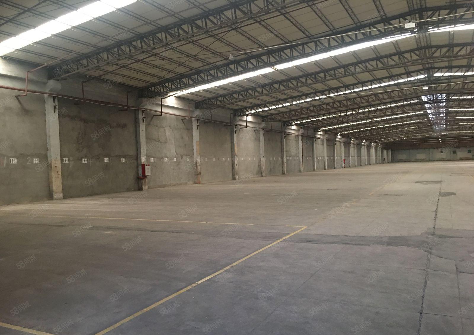 新墟创新工业区原房东7100平钢构仓库厂房出租可分租