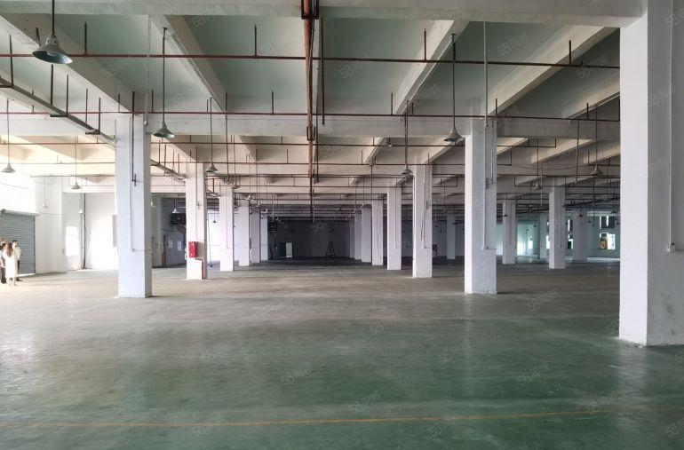 惠州忡恺旁镇隆工业区原房东红本厂房3500平出租带喷淋消防