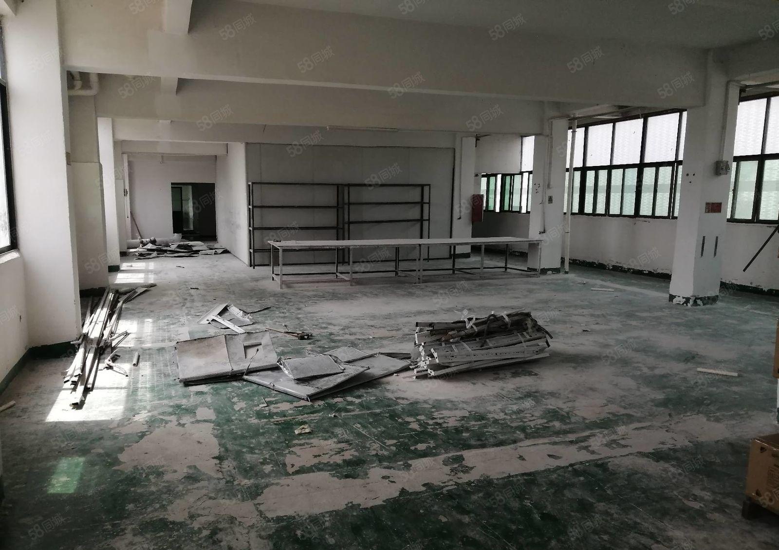 惠阳新出单层标准带装修600平