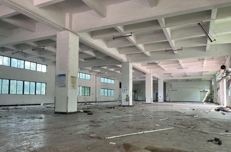 12块！新圩6000平原房东独栋厂房仓库出租可分租1500