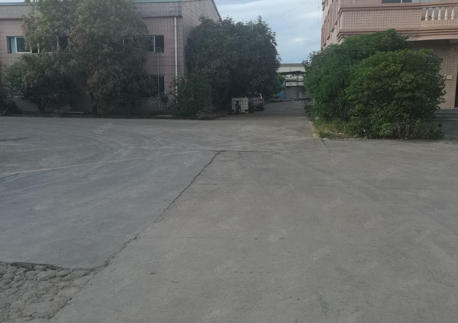 惠州秋长白石原房东花园式厂房钢构3000平米出租可办环评急租