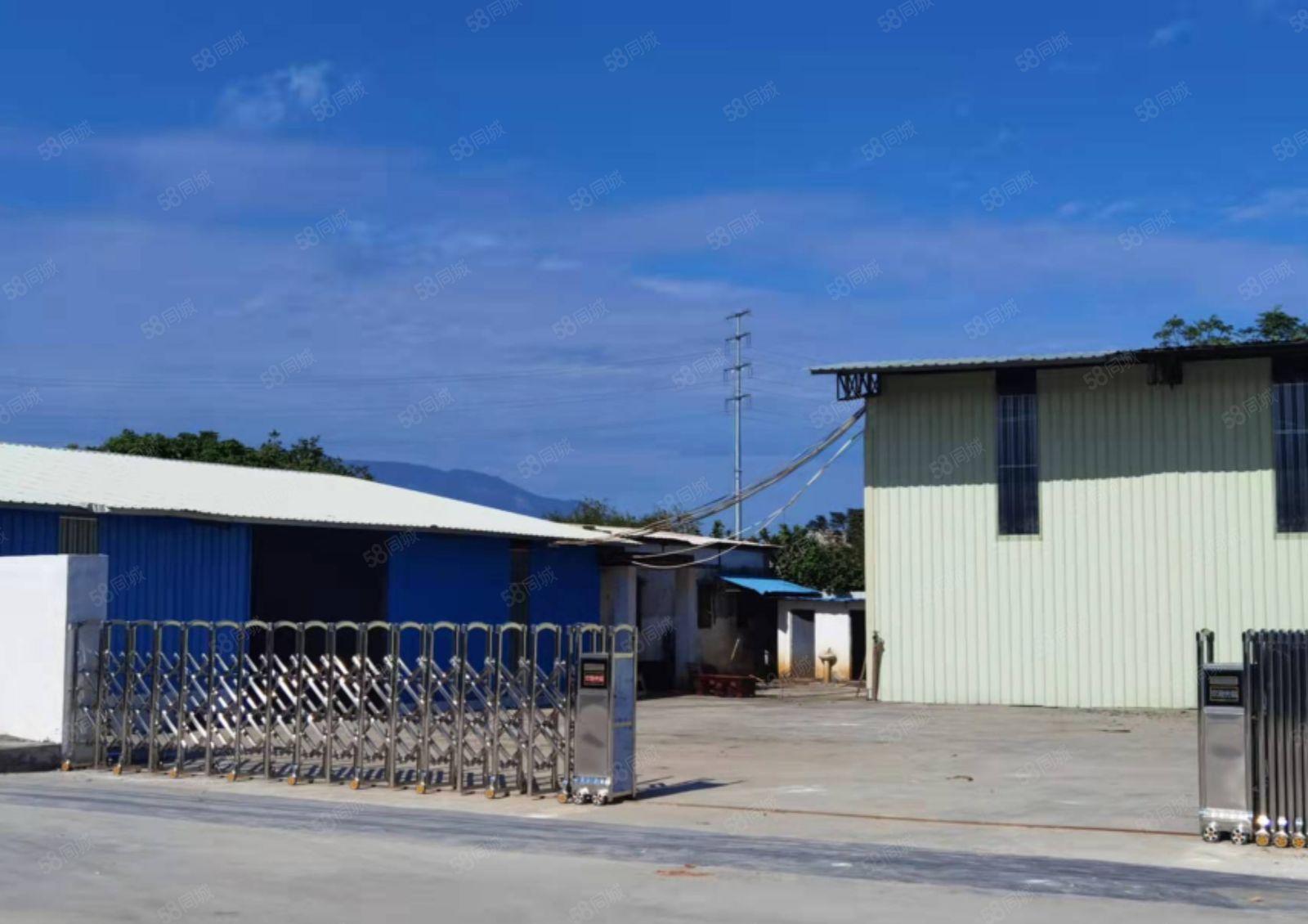 惠阳秋长白石可做污染行业独院钢构厂房1500平招租行业不限