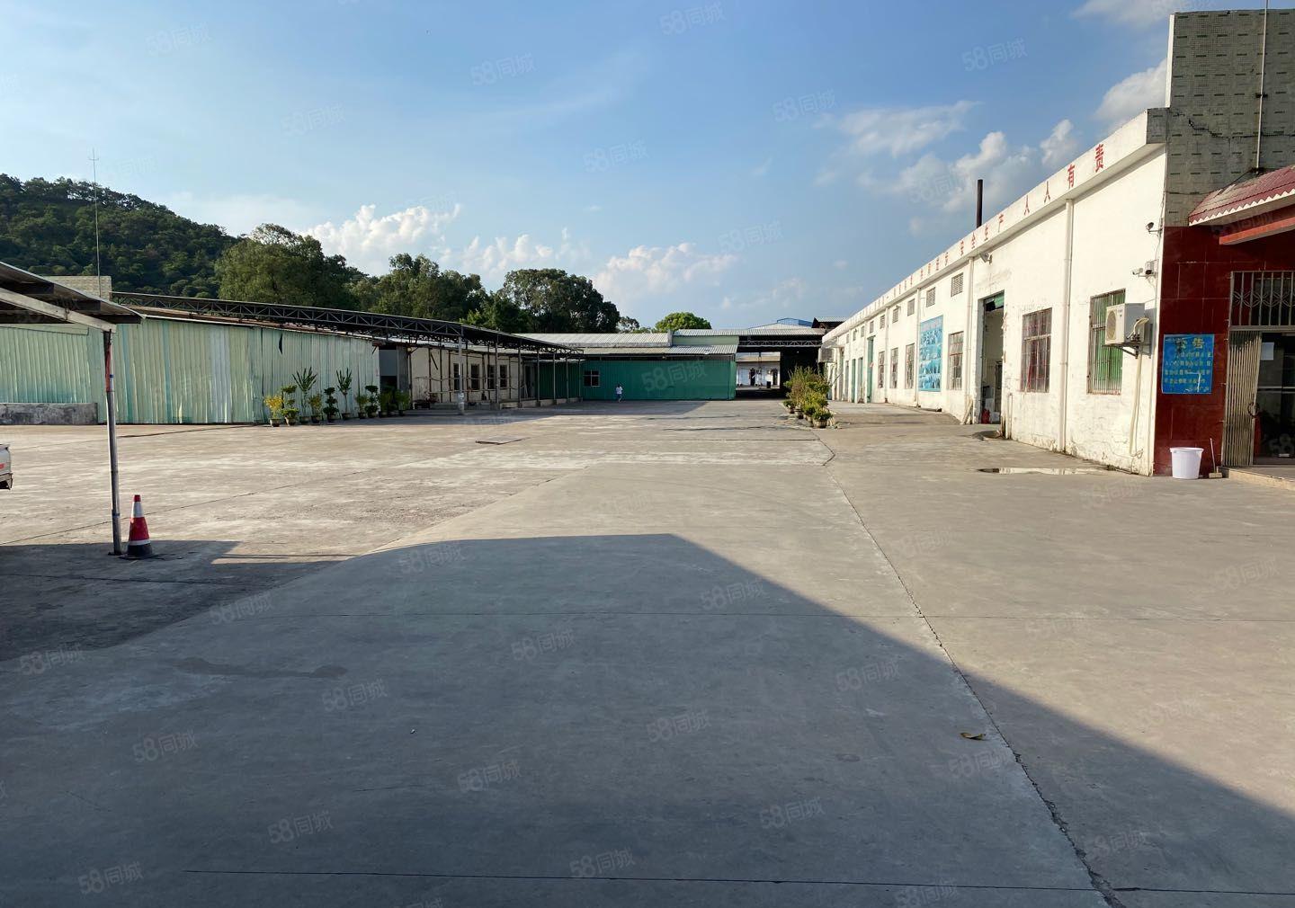 镇隆单一层红本钢构厂房4000平可做海绵泡沫，有锅炉，可分租