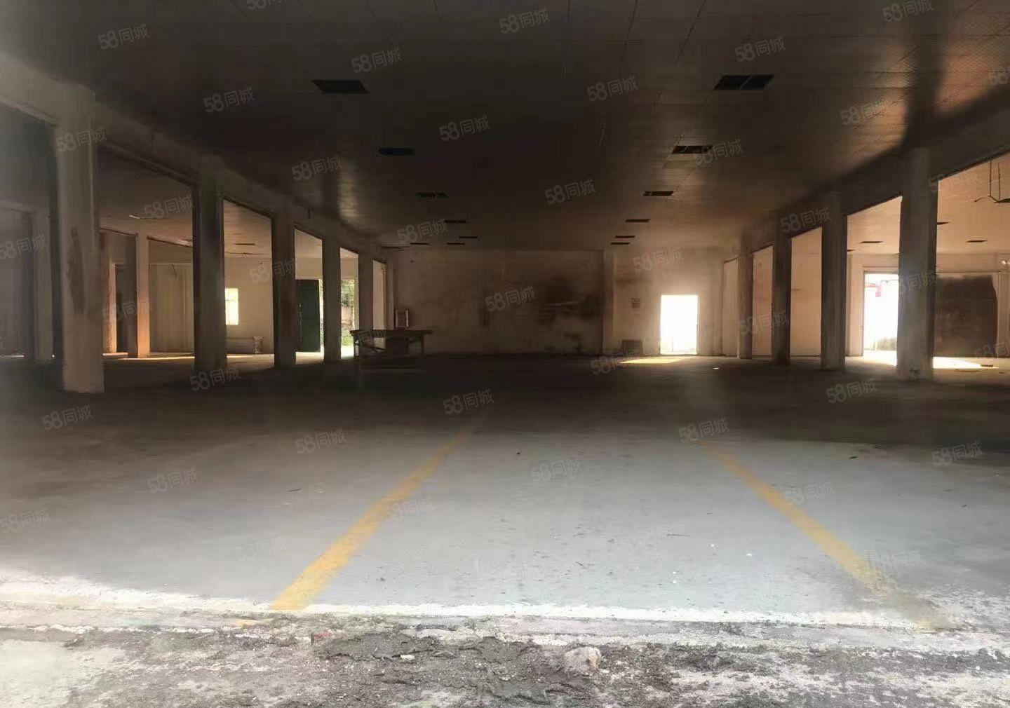 沙田新出钢构经典小独院，3000平