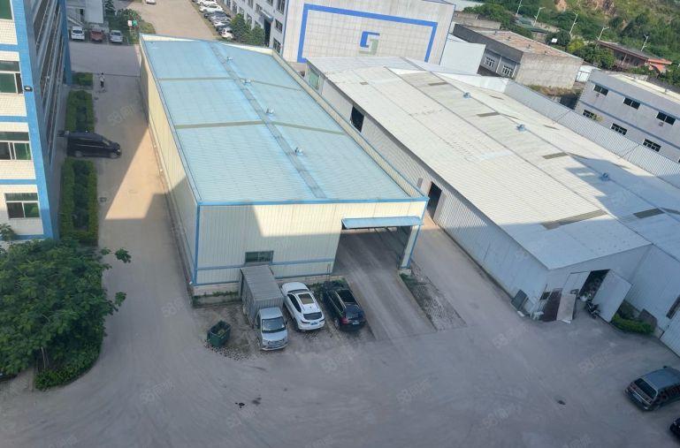 新出11元厂房！新圩长布800平一楼独栋厂房仓库低价出租