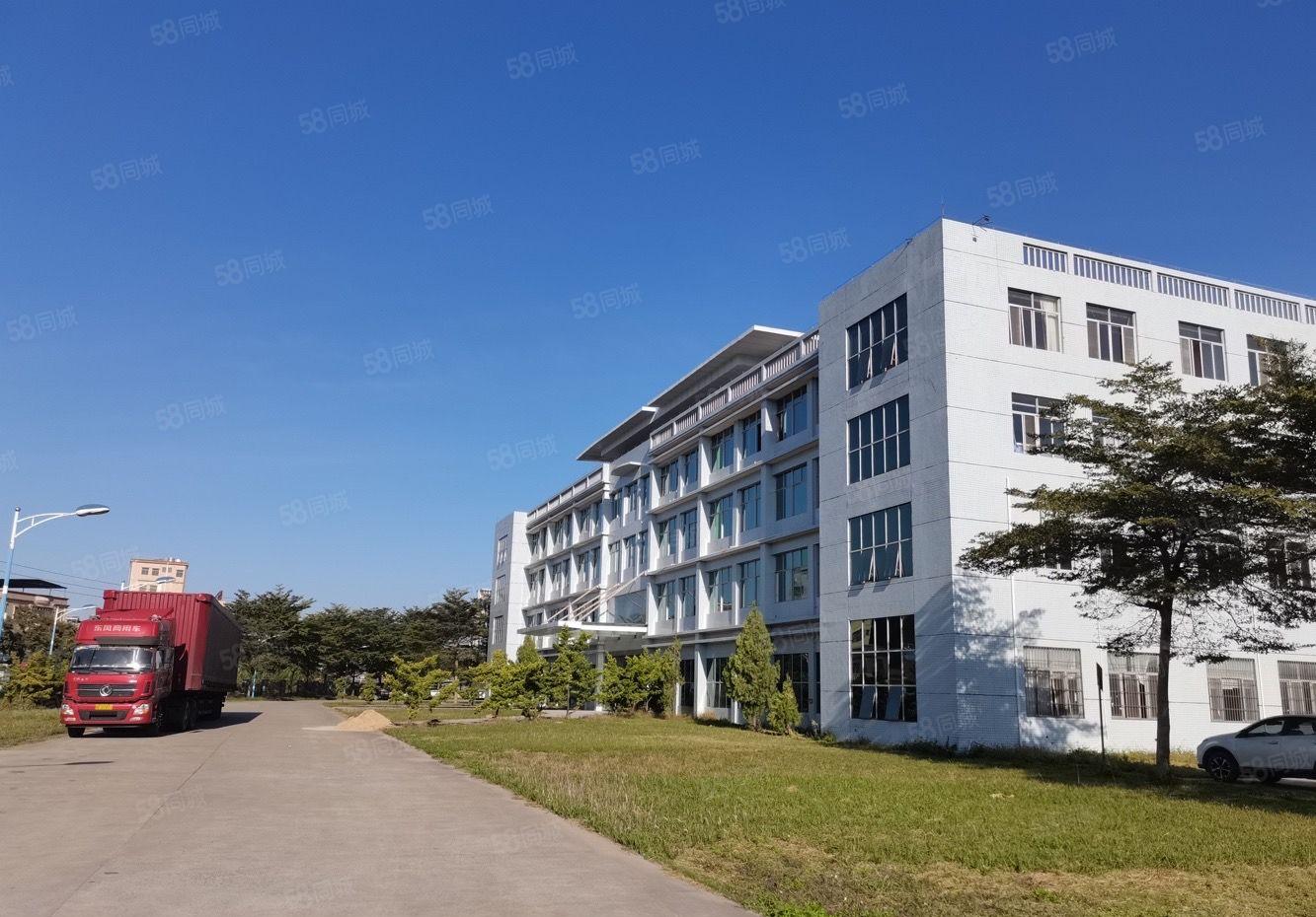 镇隆6千平原房东红本厂房出租，形象好，主线到车间，可分租