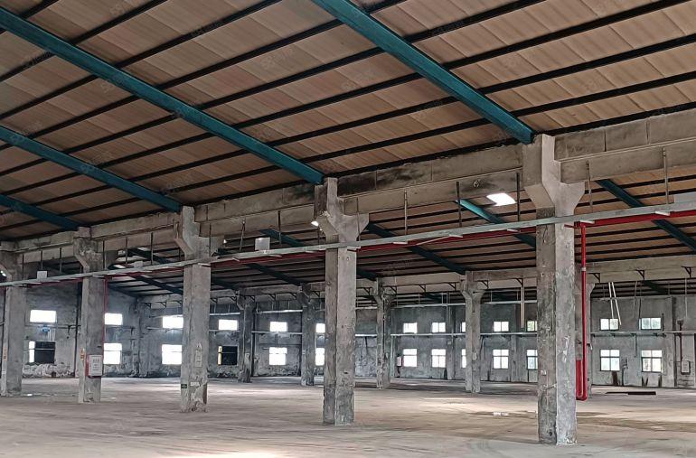 惠阳新圩东风新出原房东砖混钢结构厂房4800平方米招租