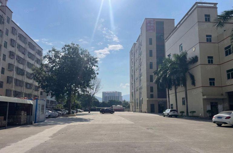 10元零公摊！惠阳沙田5600平原房东厂房仓库低价出租可分租