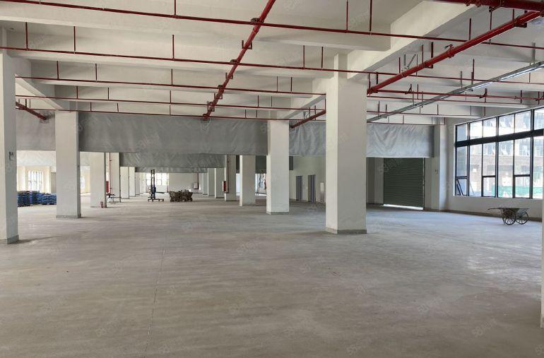 镇隆厂房出租独门独院厂房30000平方