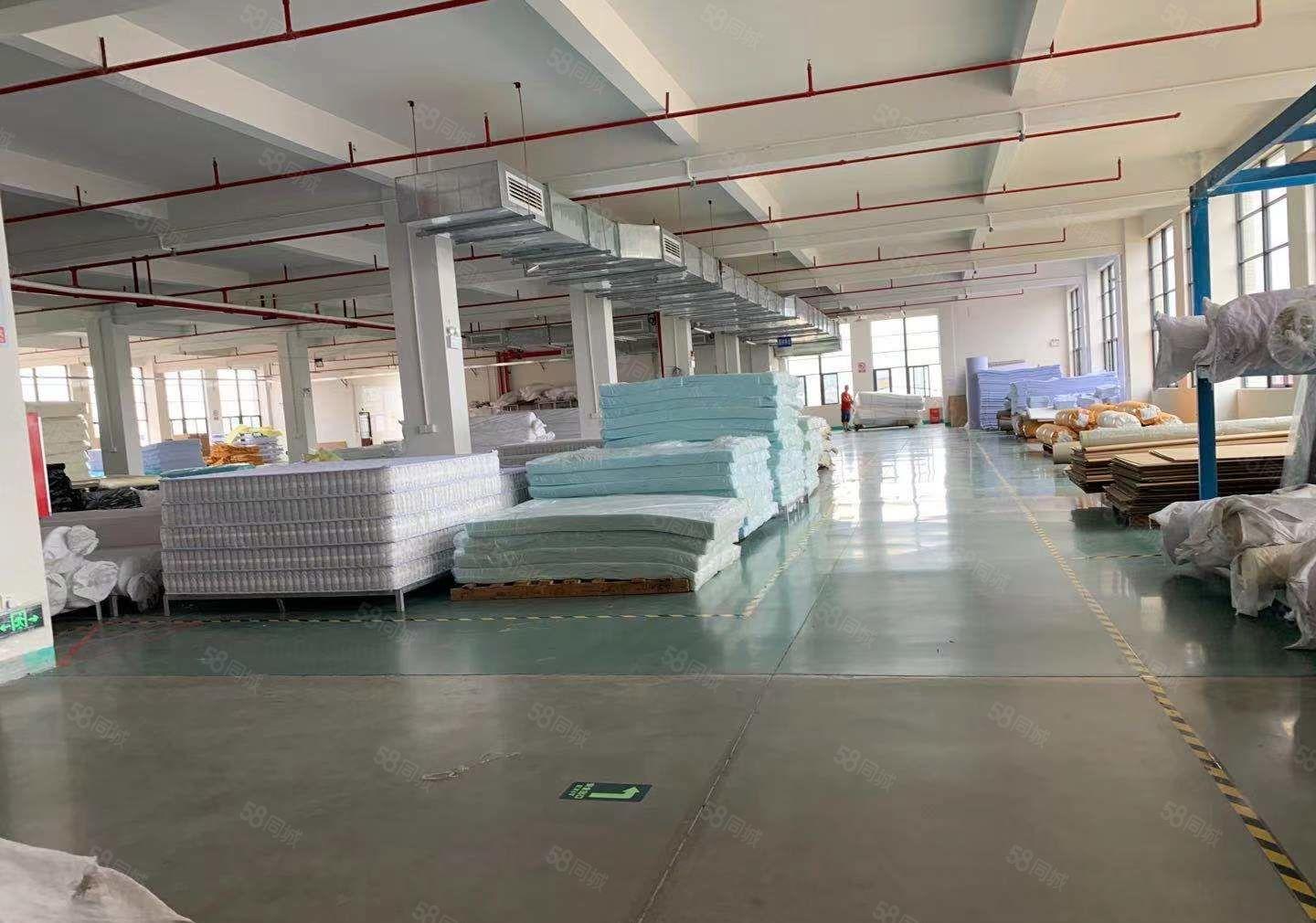 惠阳新出独院豪华装修标准厂房2600平