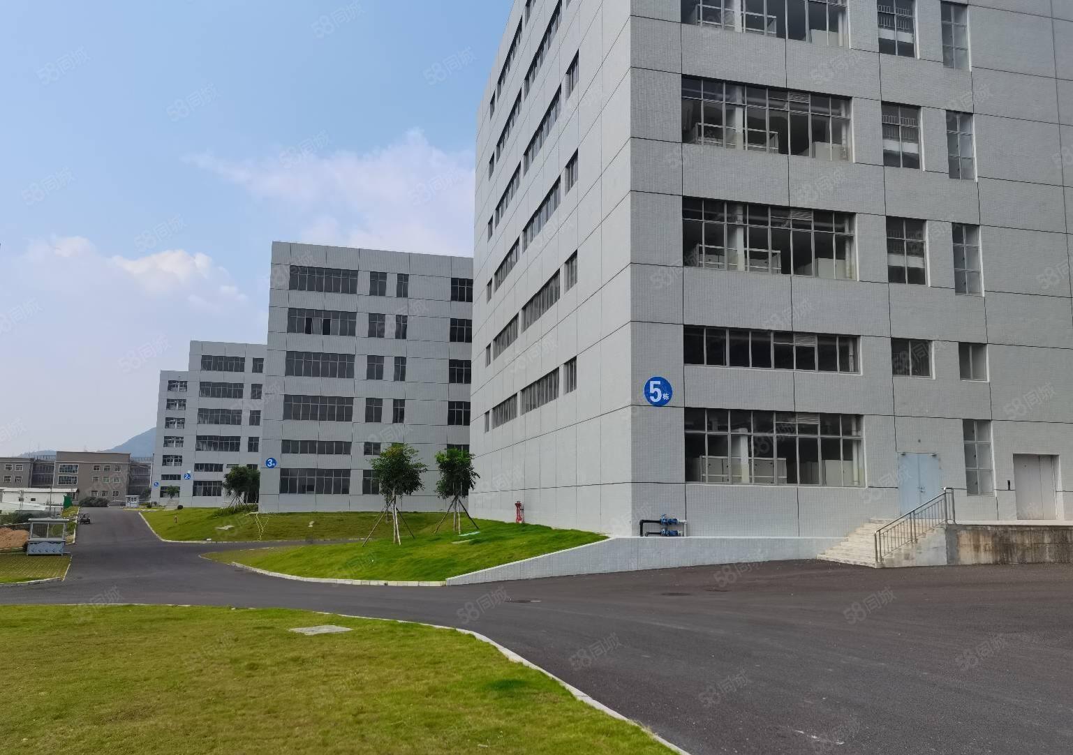 500平起租，惠阳新圩5万平工业区厂房仓库独院出租带消防喷淋