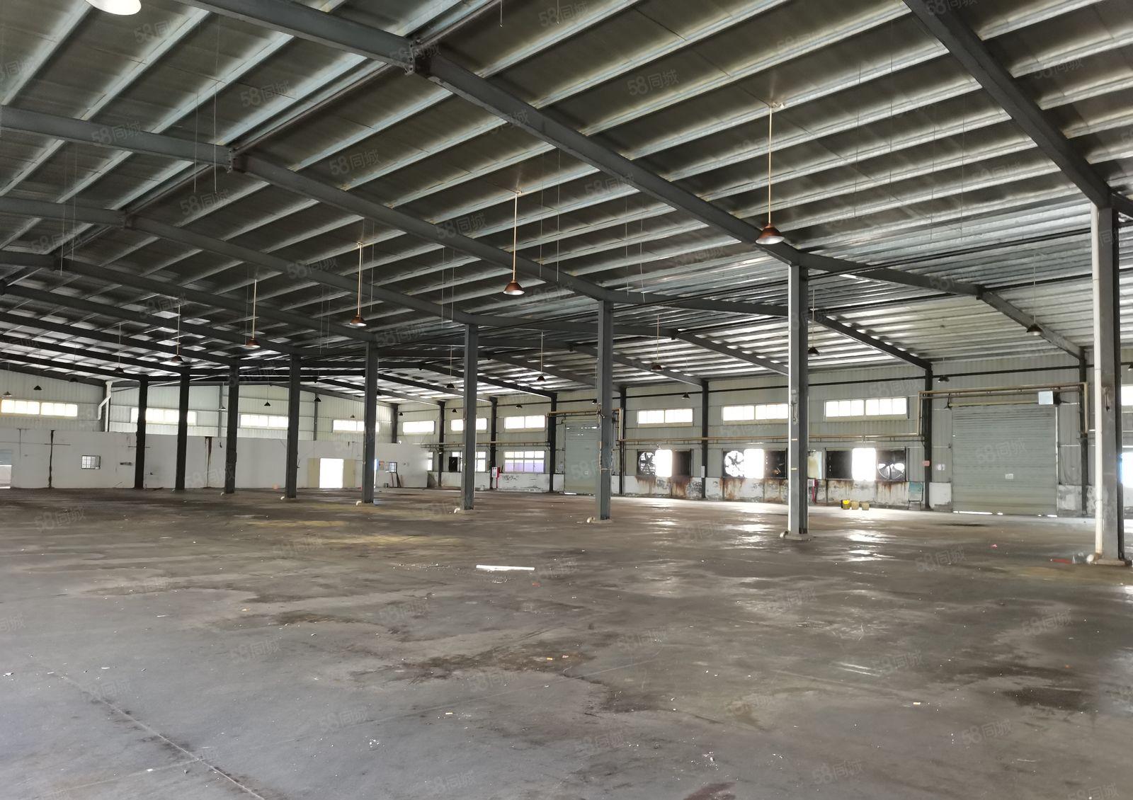 2百平起分租新墟新龙工业区独院3500平红本钢构仓库厂房出租