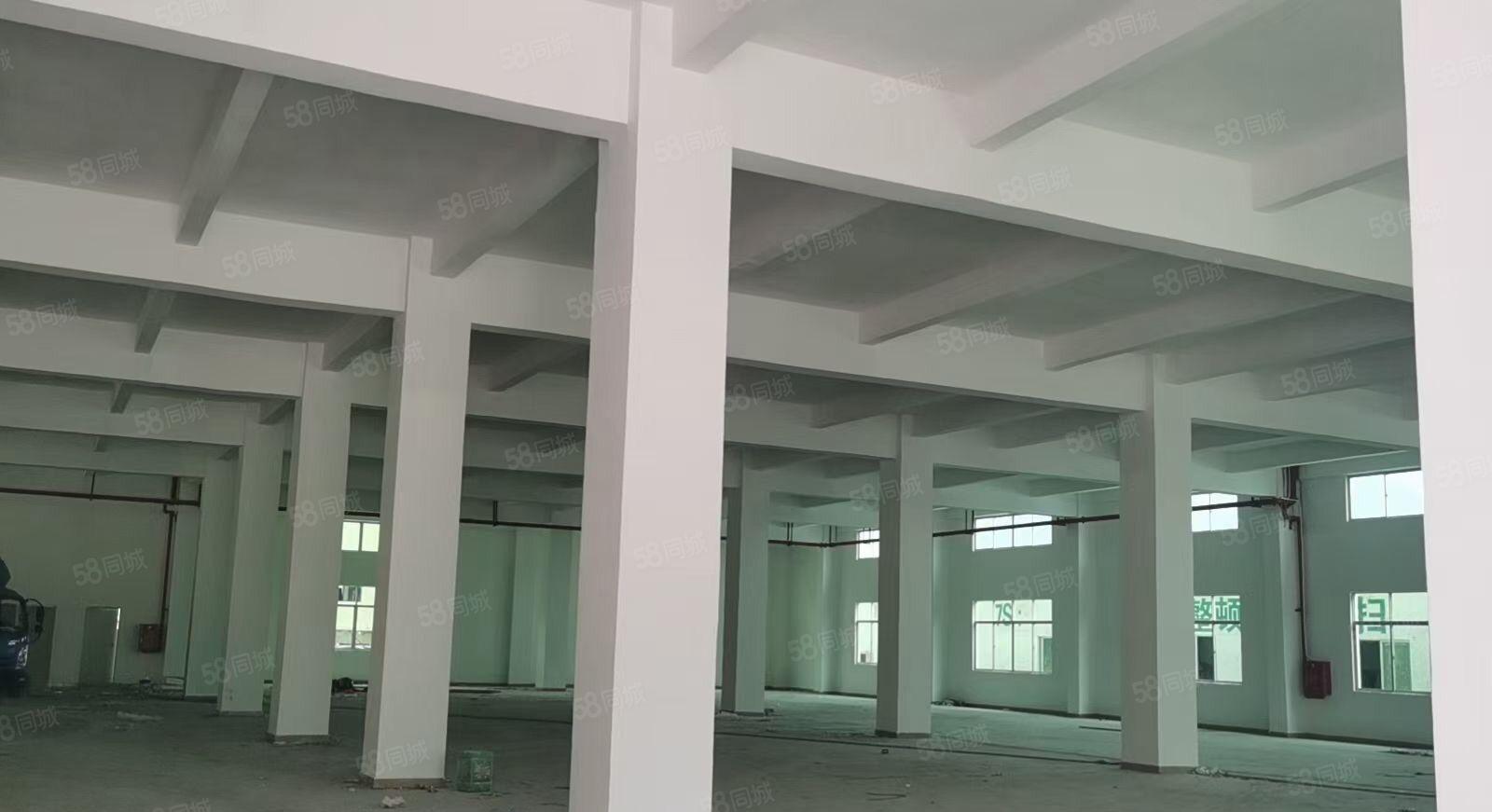 原房东独栋全新厂房可整租分租证件齐全地理位置优越