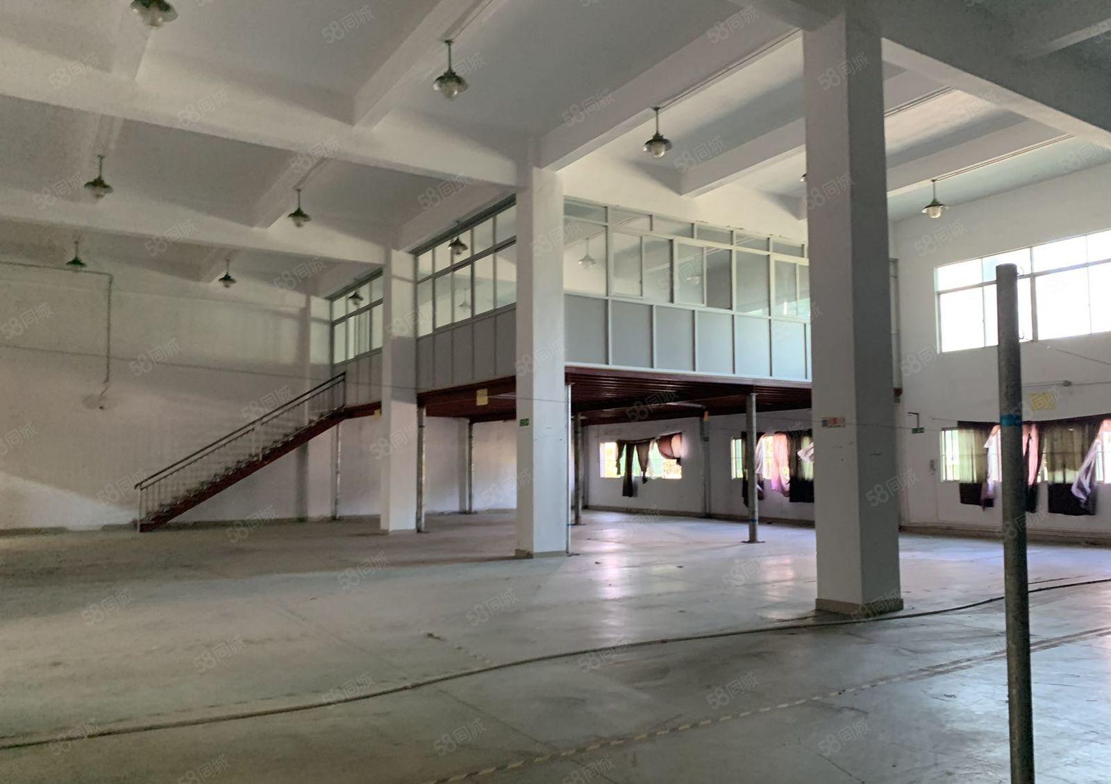 惠阳秋长新出红本独门独院标准厂房27788平，可分租