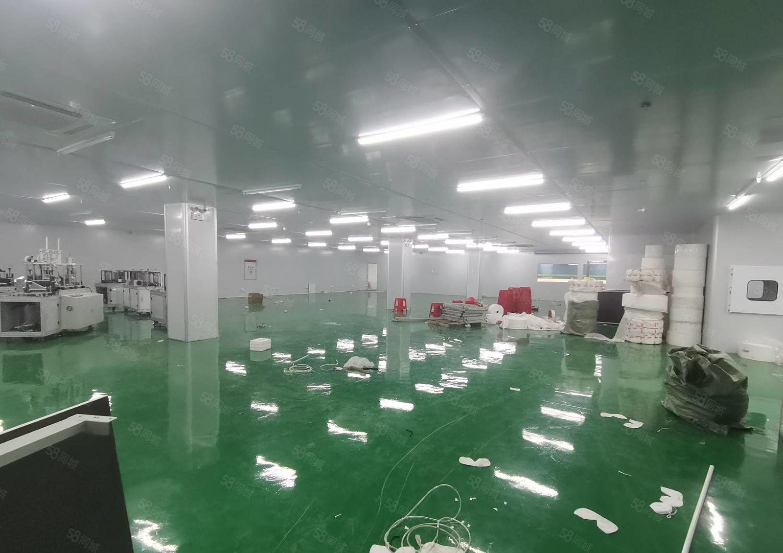 100平起租，镇隆第二工业园楼上1000平厂房出租 带环评