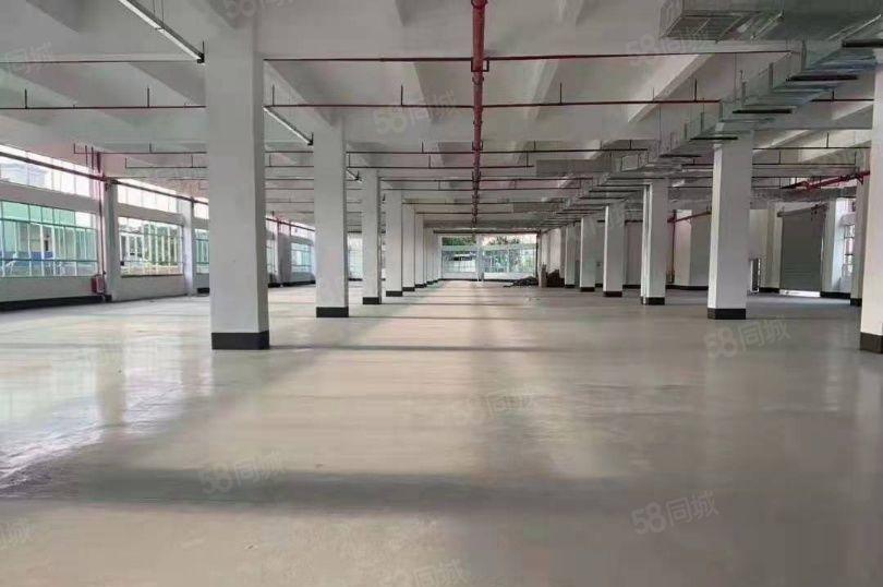 惠东县白花镇10元全新标准厂房3500平方楼上整层出租可分租