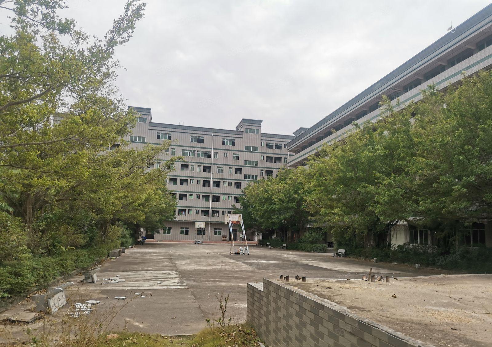 新圩花园式红本标准厂房四万平米出租，原房东无公摊，空地超大！