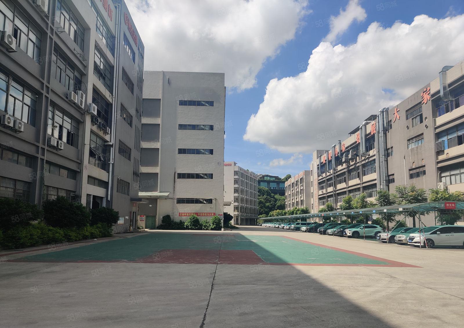 惠州镇隆近陈江原房东独院厂房仓库1300平方带办公室装修3吨