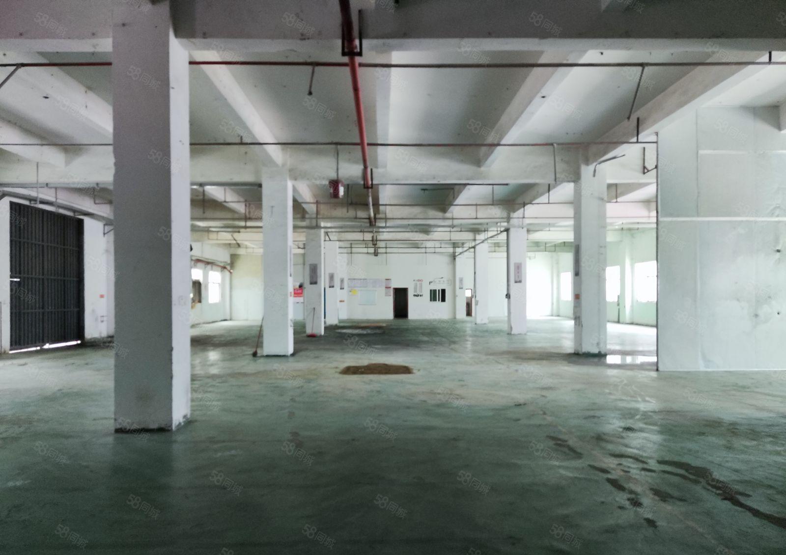 惠阳区沙田镇高速路旁红本工业园标准厂房面积15000平米招租