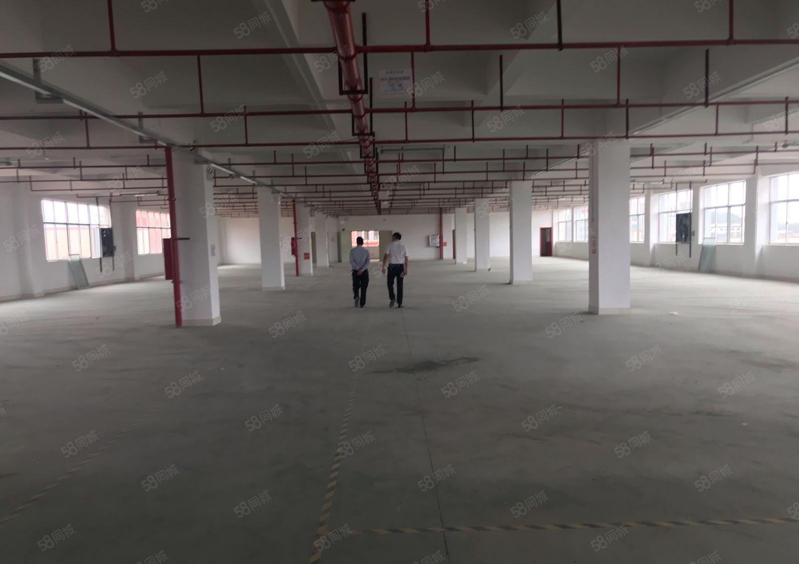 新圩长布楼上厂房仓库500平1000平出租