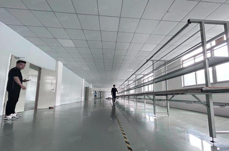 8元起！秋长主干道边上原房东楼上500平米精装修仓库厂房出租