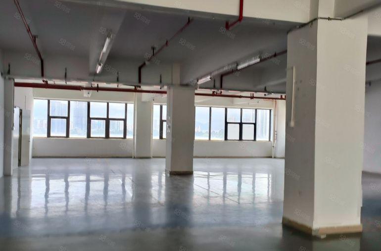 10元！1500平新圩楼上标准厂房仓库原房东带装修办公室出租