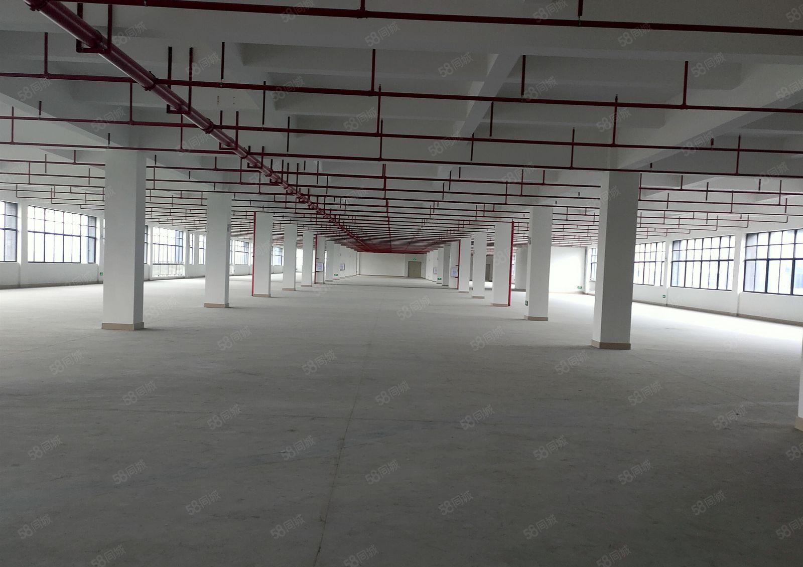 惠东县白花镇全新不限电工业园招租可整可分