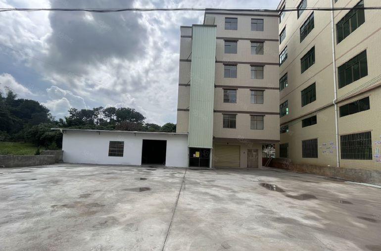 惠阳秋长不限行业钢构厂房出租