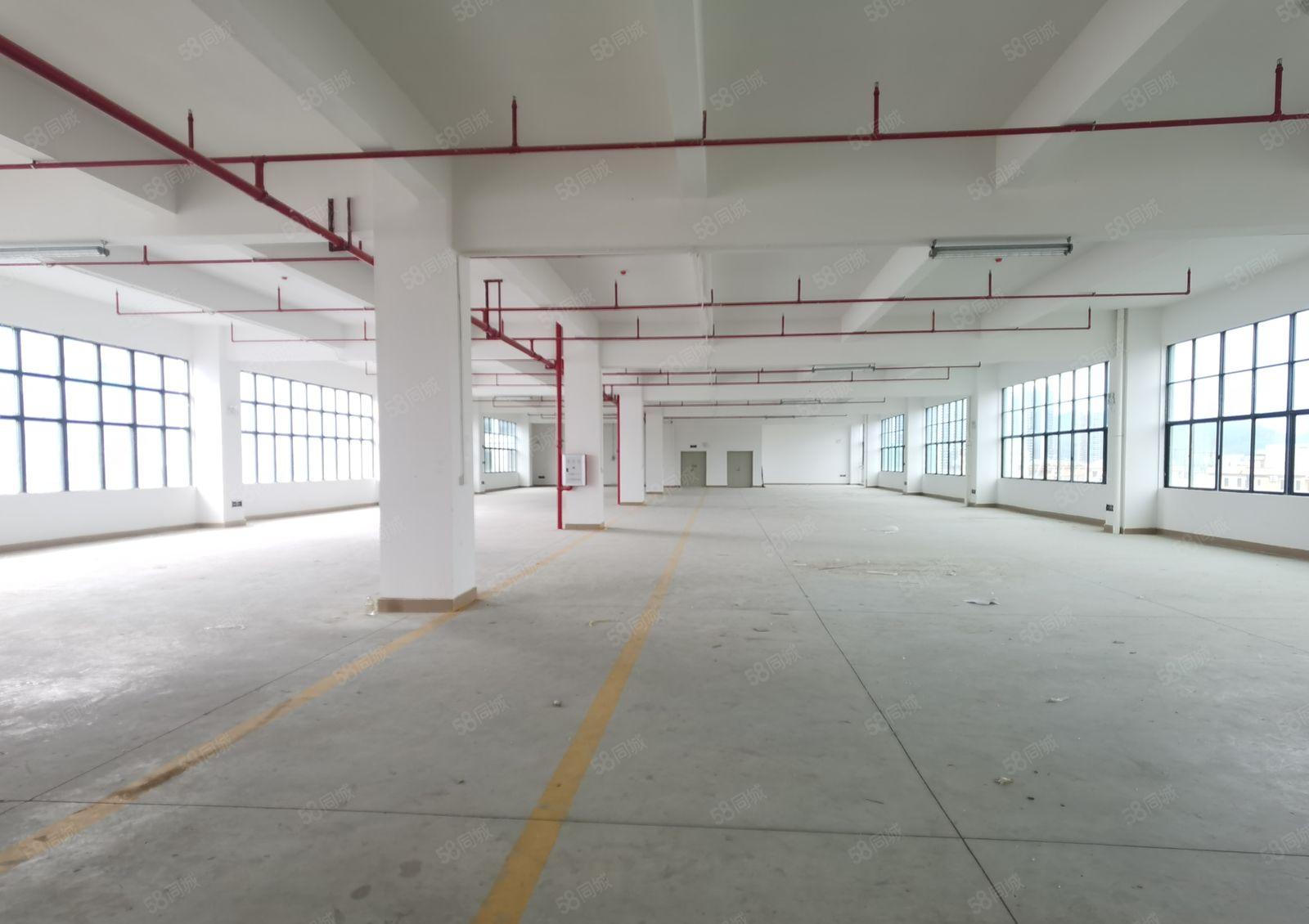 三和经济开发区1000工业园厂房招租，交通方便。拖车可掉头