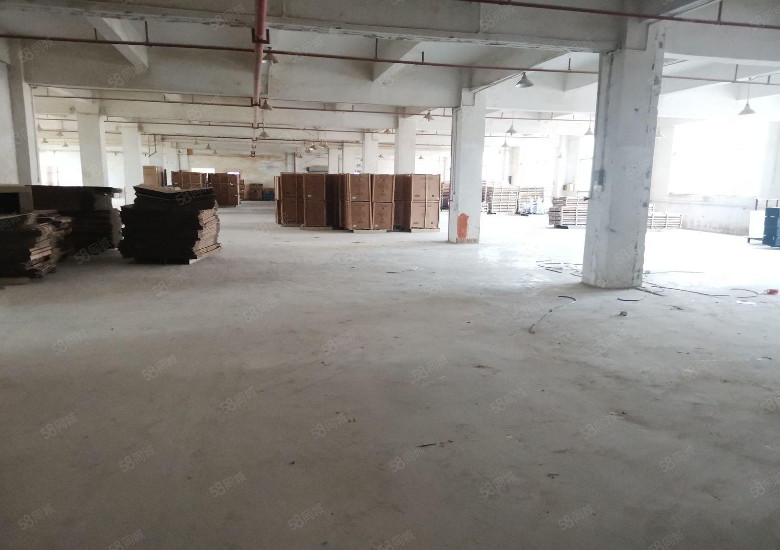 惠阳新圩高速旁原房东红本标准厂房带精装修2楼1350平出租