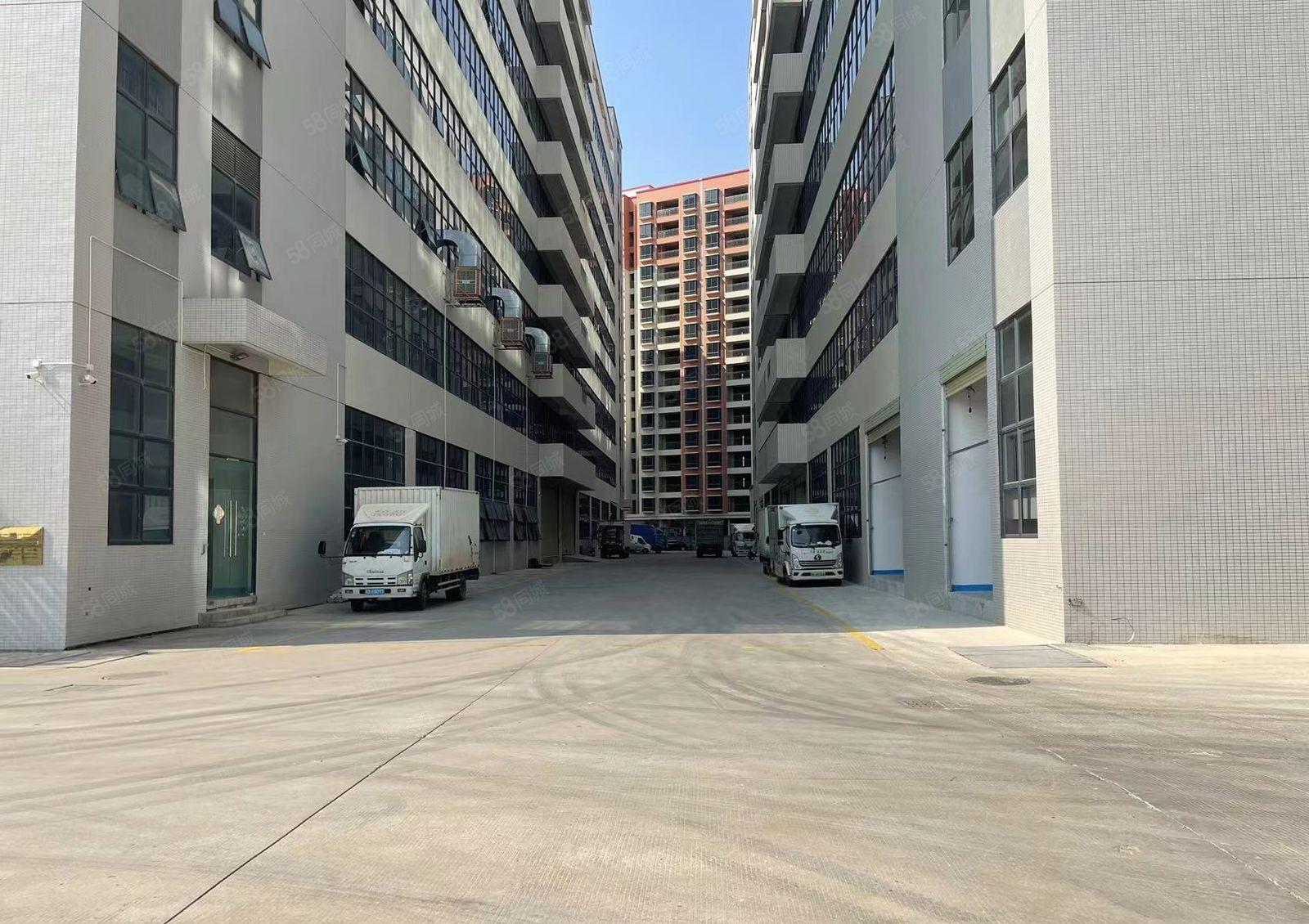 惠州秋长白石1一楼10米高全新红本厂房80000平出租可分租