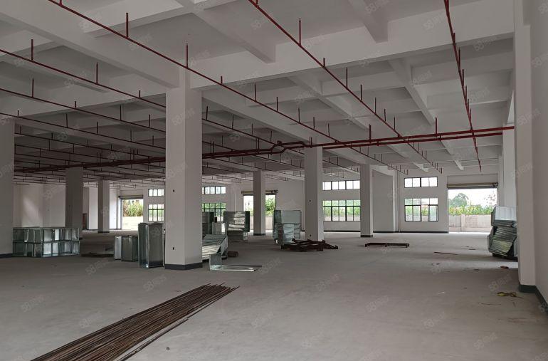 惠阳镇隆主干道边原房东红本独院标准厂房24430平方米招租