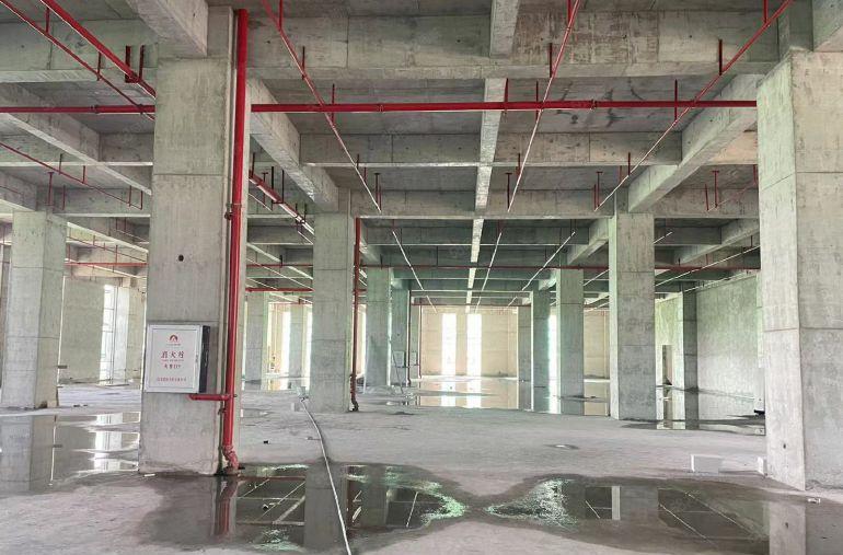 全新临深秋长红本厂房，开发商直租，无公摊