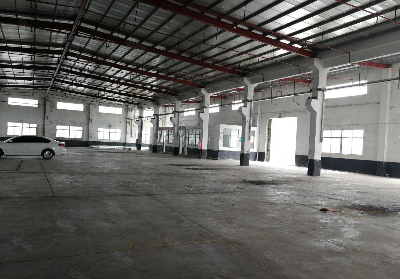 惠阳区白石独院8米高钢构厂房3000平米出租