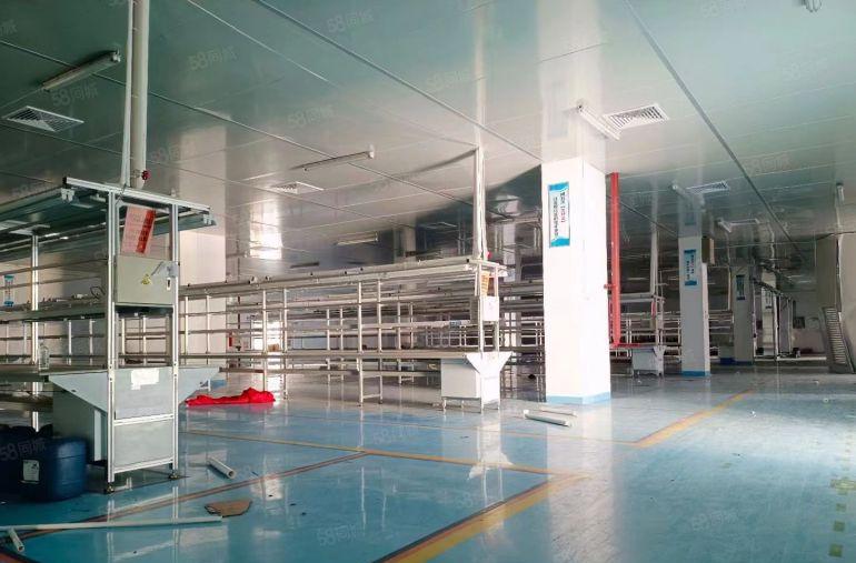 惠阳区三和经济开发区红本标准厂房一楼4200平方停车位足