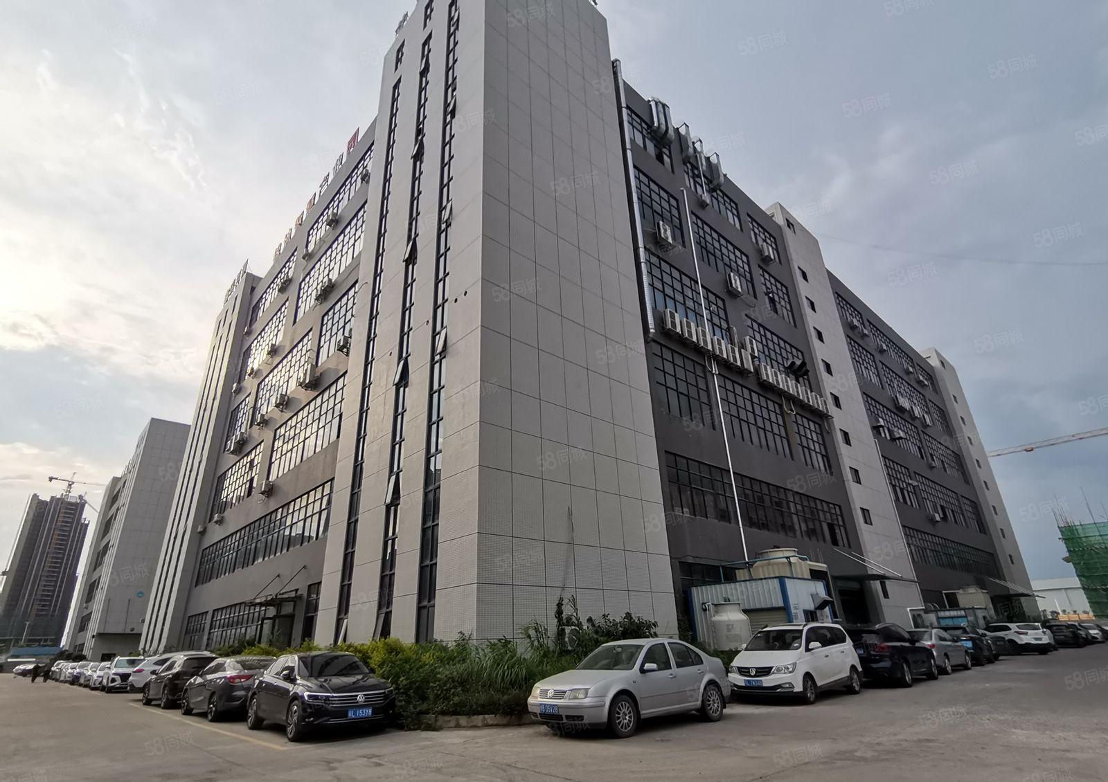 镇隆全新厂房一楼1900平方出租带牛角