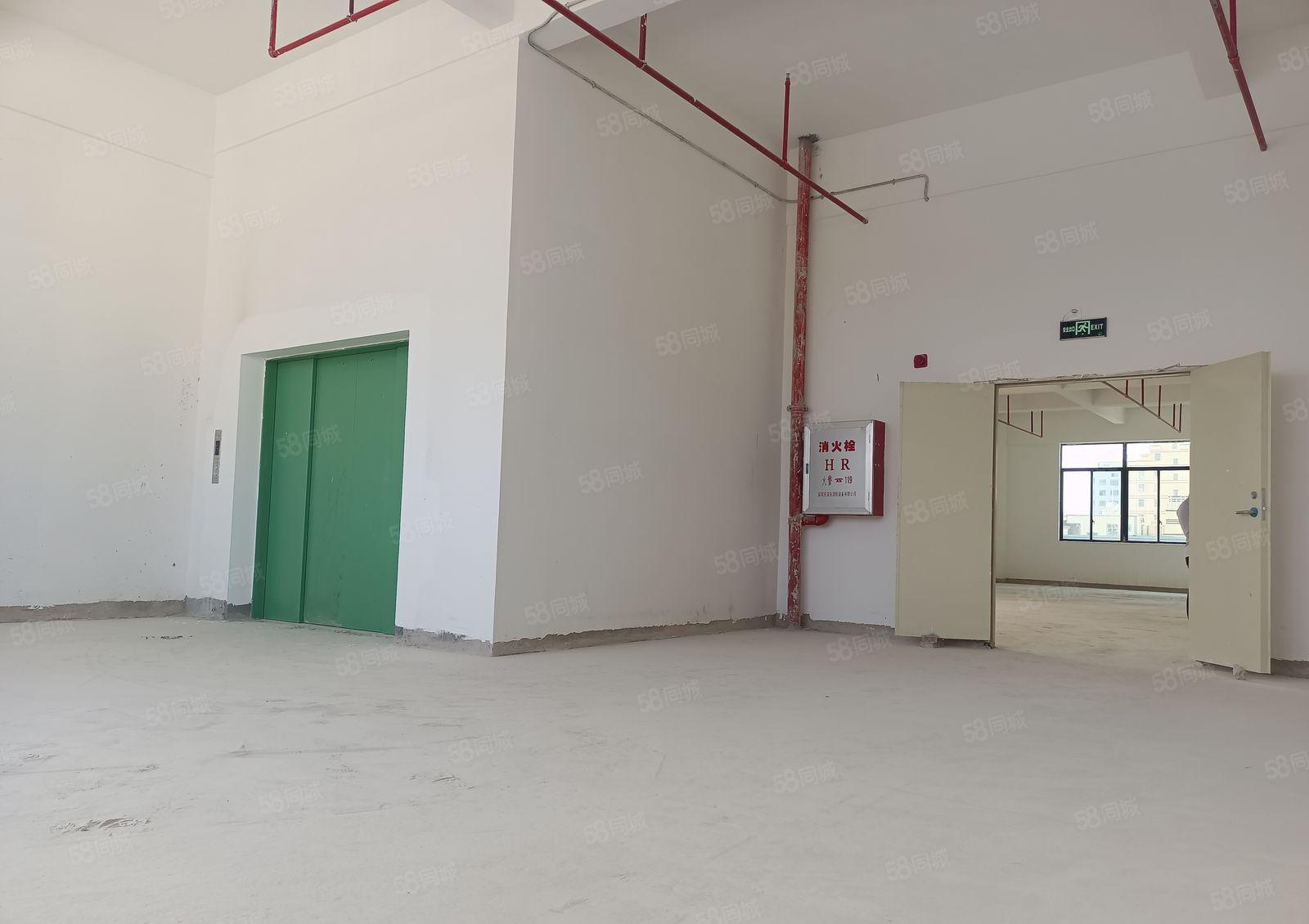 全新建设15元含税价标准红本厂房出租，原房东实际面无公摊！