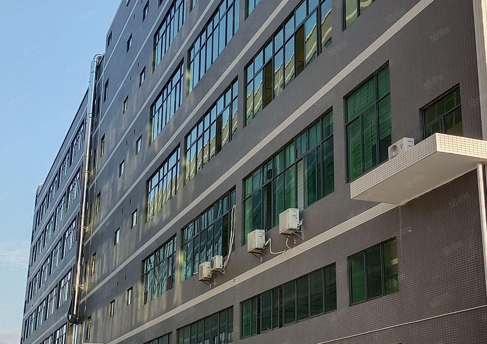 惠阳沙田秋长可办环评全新红本工业厂房出租可做家具的厂房出租