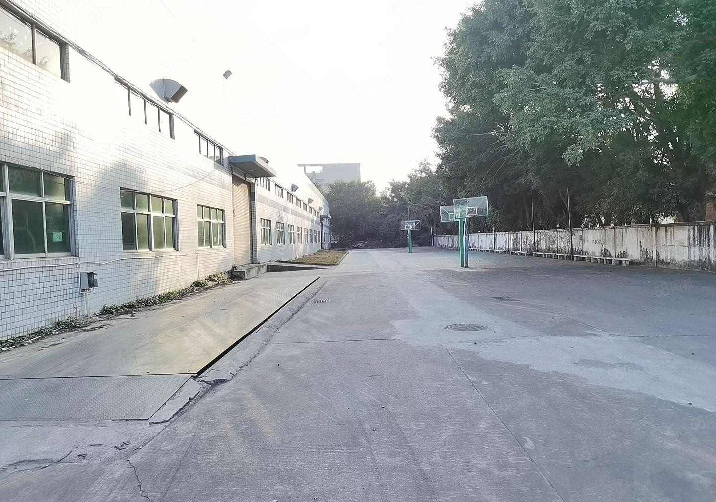 新圩东风原房东2000平单一层独院钢构厂房出租接受小污染行业