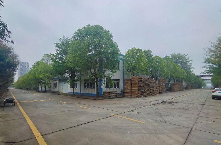 可分租惠阳秋长新塘红本独栋砖墙到顶钢构厂房出租交通便利好停车