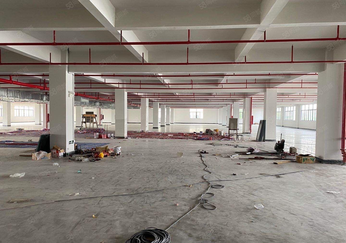 惠阳镇隆皇后全新厂房46000平出租1000平起租