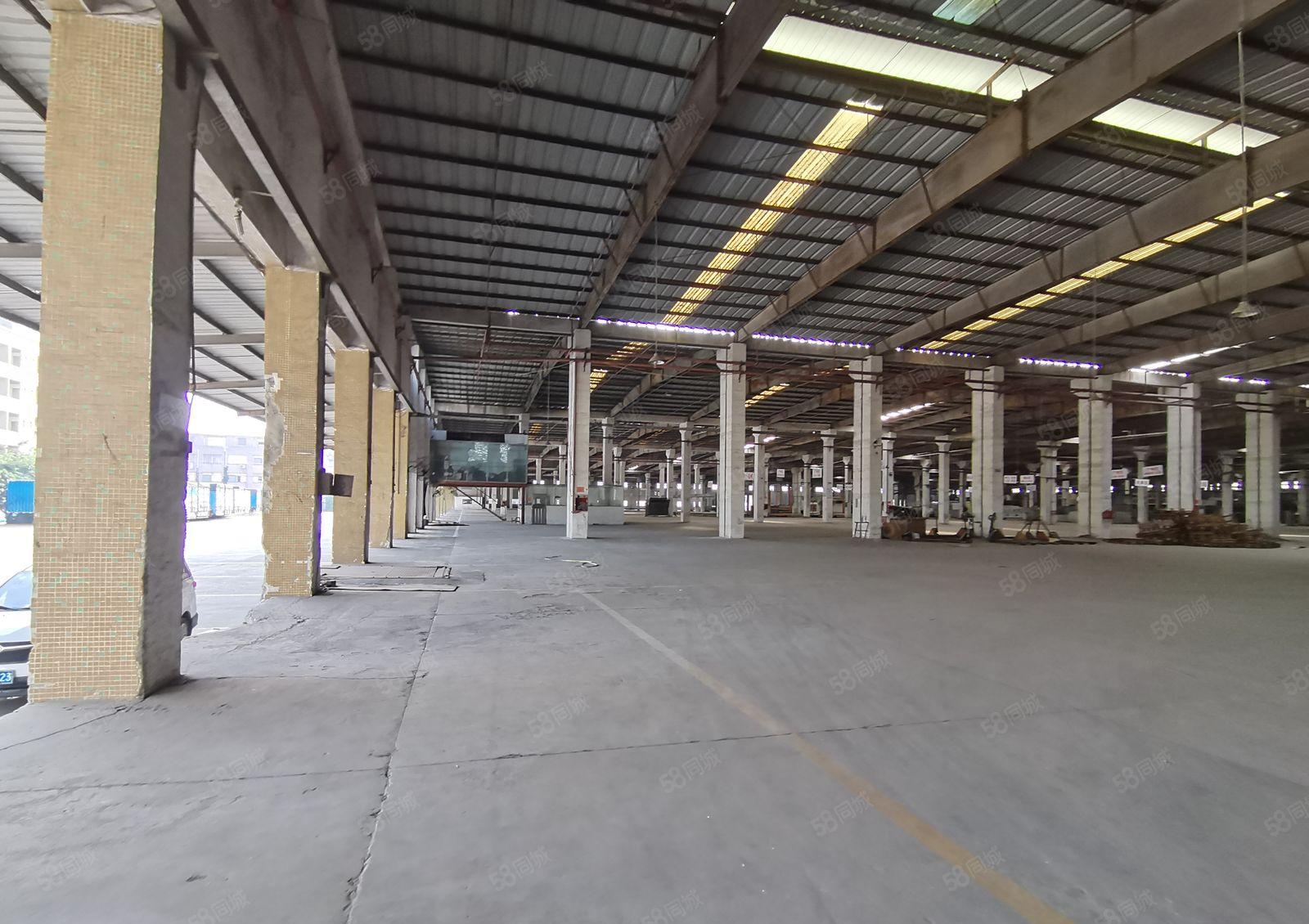 5百平起分租新墟荣健工业园独栋8千平标准红本钢构仓库厂房出租