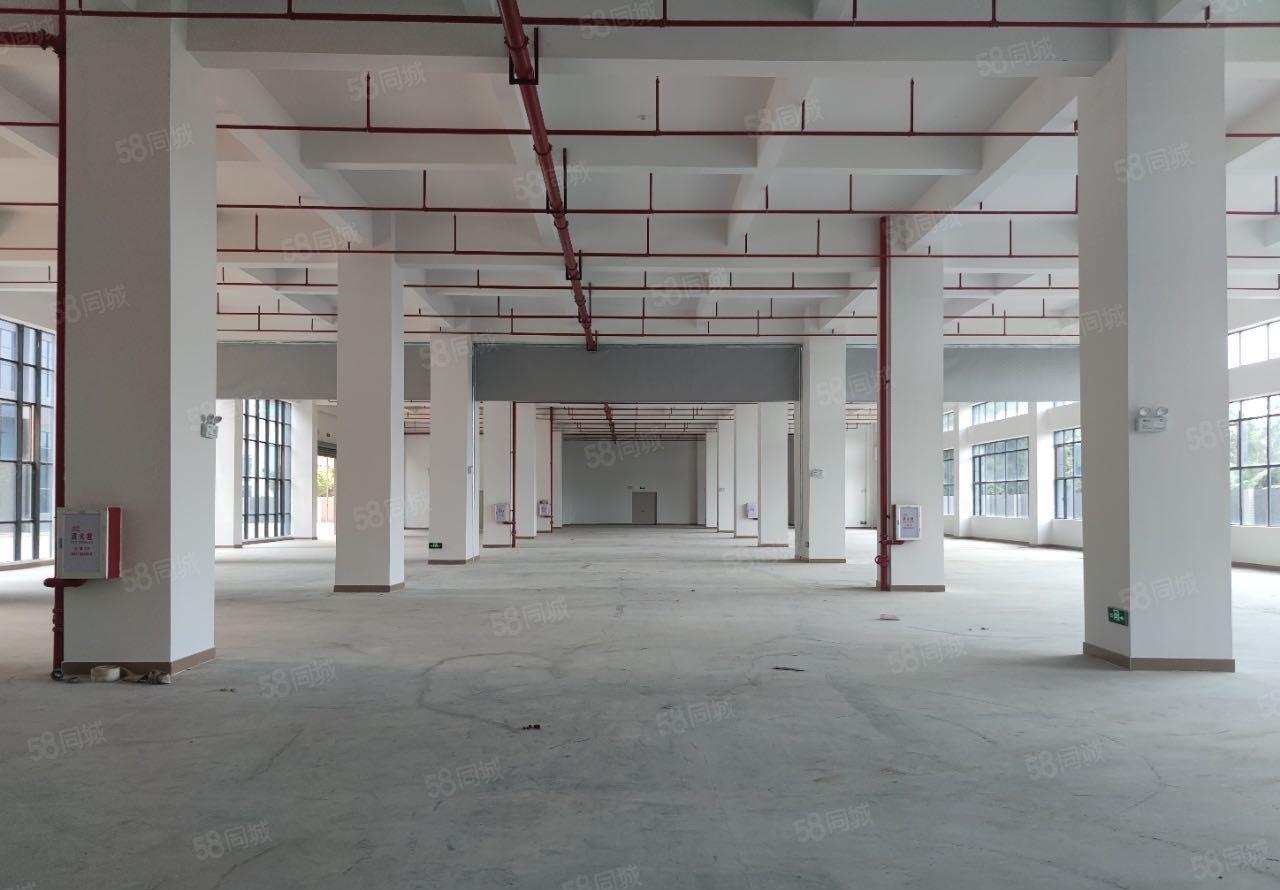 惠阳沙田2万独院厂房出租 证件全 可分租 一楼层高7米