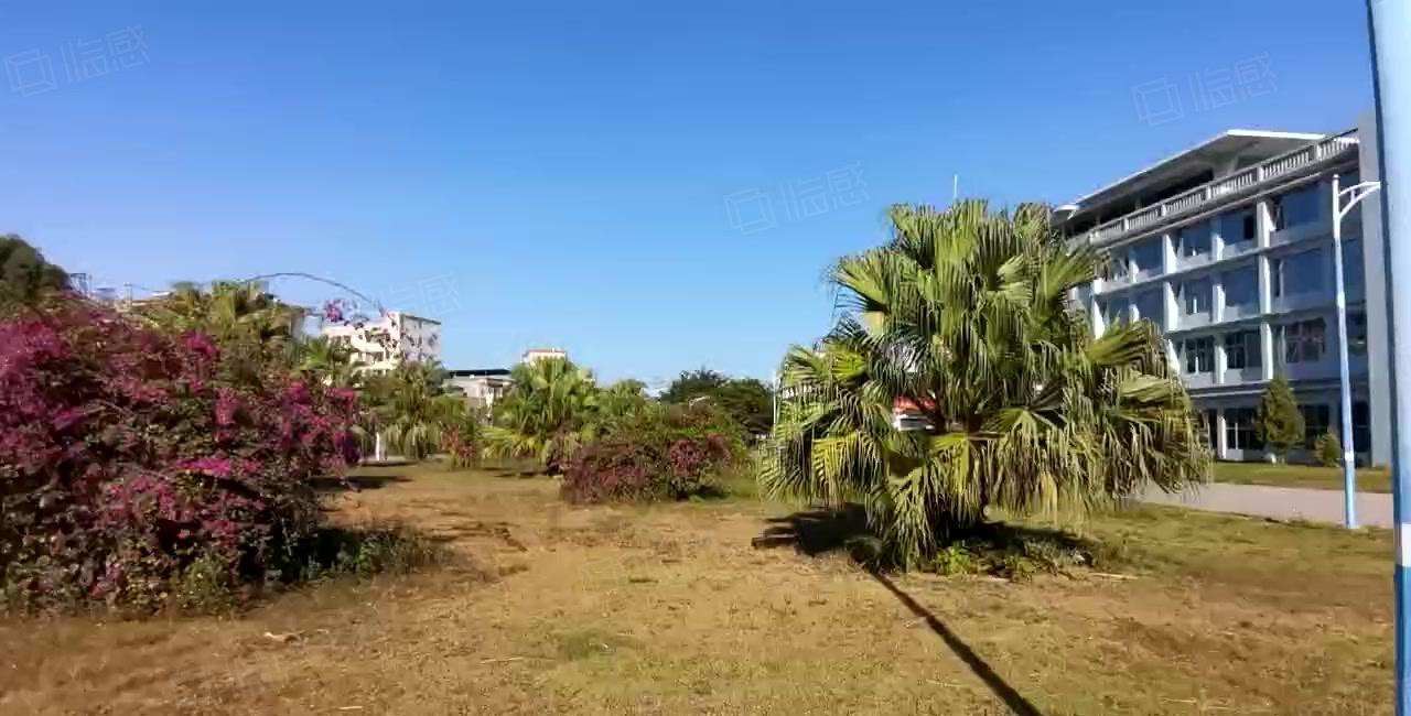 镇隆6千平原房东红本厂房出租，形象好，主线到车间，可分租